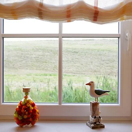 Sturmmoewe * Greetsiel