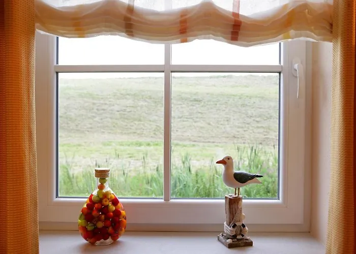 Sturmmoewe * Greetsiel